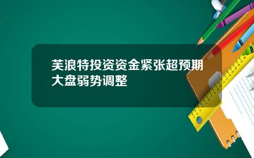 芙浪特投资资金紧张超预期大盘弱势调整