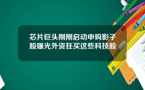芯片巨头刚刚启动申购影子股曝光外资狂买这些科技股