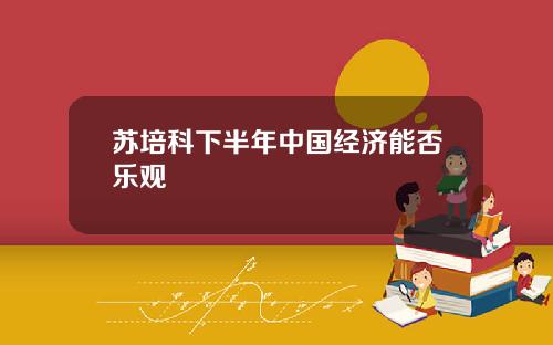苏培科下半年中国经济能否乐观