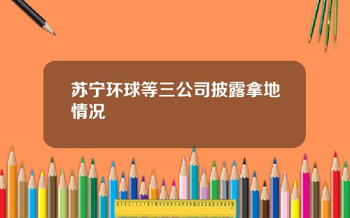 苏宁环球等三公司披露拿地情况