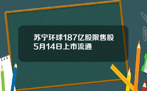 苏宁环球187亿股限售股5月14日上市流通