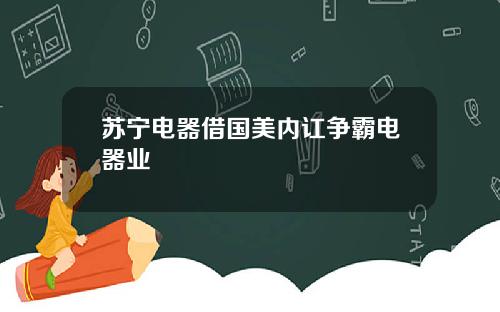 苏宁电器借国美内讧争霸电器业