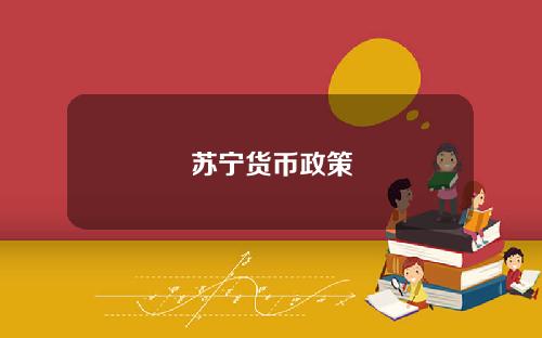 苏宁货币政策