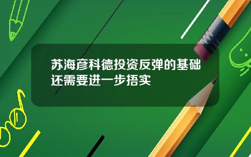 苏海彦科德投资反弹的基础还需要进一步捂实