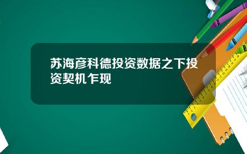 苏海彦科德投资数据之下投资契机乍现