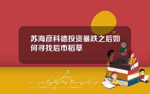 苏海彦科德投资暴跌之后如何寻找后市稻草