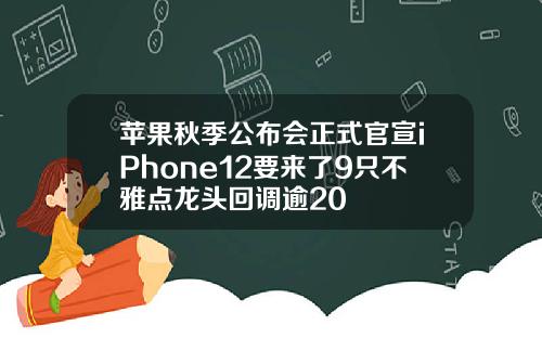 苹果秋季公布会正式官宣iPhone12要来了9只不雅点龙头回调逾20