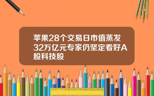 苹果28个交易日市值蒸发32万亿元专家仍坚定看好A股科技股
