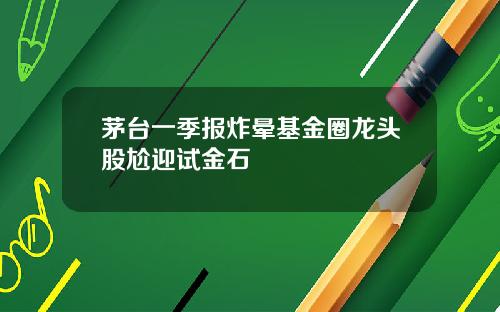 茅台一季报炸晕基金圈龙头股尬迎试金石