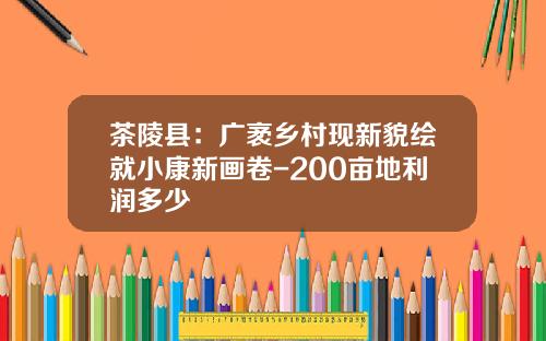 茶陵县：广袤乡村现新貌绘就小康新画卷-200亩地利润多少