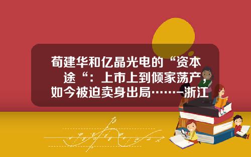 荀建华和亿晶光电的“资本囧途“：上市上到倾家荡产，如今被迫卖身出局……-浙江海通食品集团有限公司