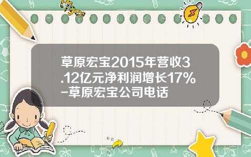 草原宏宝2015年营收3.12亿元净利润增长17%-草原宏宝公司电话