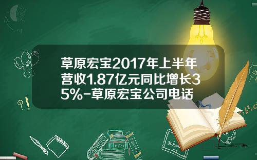 草原宏宝2017年上半年营收1.87亿元同比增长35%-草原宏宝公司电话