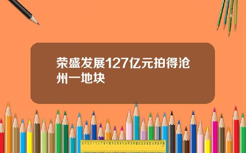 荣盛发展127亿元拍得沧州一地块