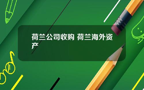 荷兰公司收购 荷兰海外资产