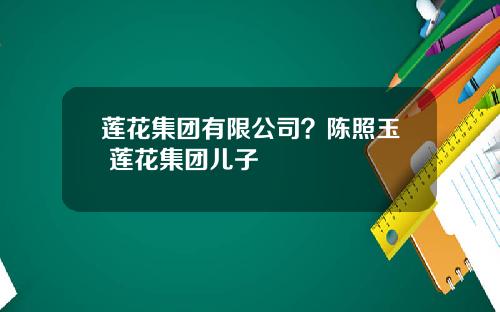 莲花集团有限公司？陈照玉 莲花集团儿子