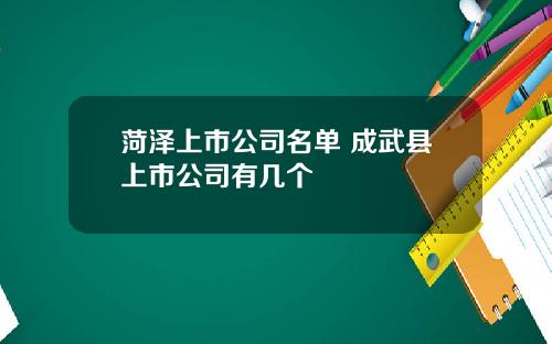 菏泽上市公司名单 成武县上市公司有几个