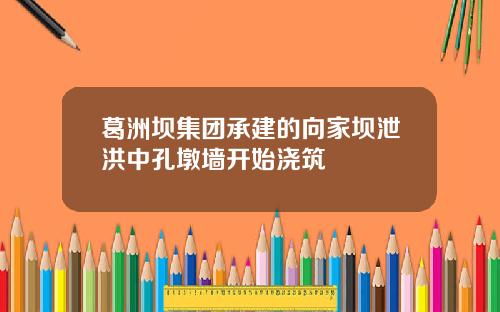 葛洲坝集团承建的向家坝泄洪中孔墩墙开始浇筑