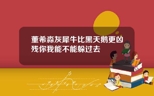 董希淼灰犀牛比黑天鹅更凶残你我能不能躲过去