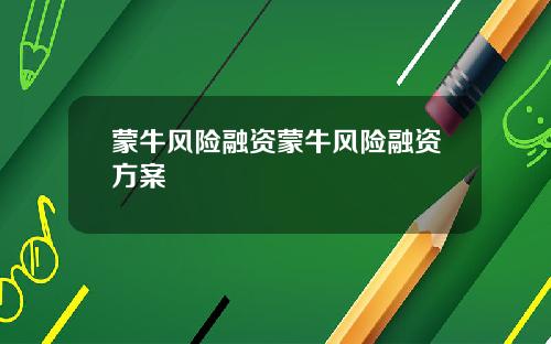 蒙牛风险融资蒙牛风险融资方案