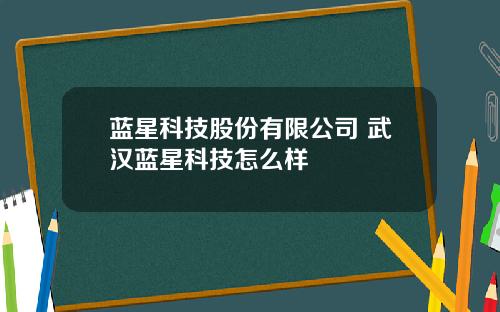 蓝星科技股份有限公司 武汉蓝星科技怎么样