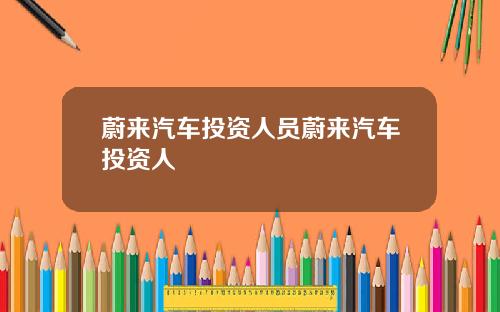 蔚来汽车投资人员蔚来汽车投资人