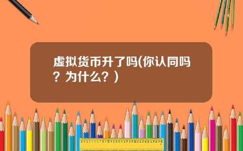 虚拟货币升了吗(你认同吗？为什么？)