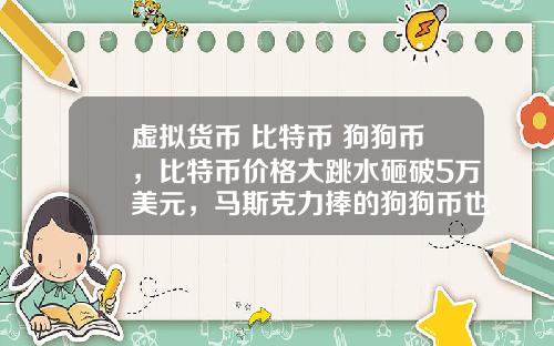 虚拟货币 比特币 狗狗币，比特币价格大跳水砸破5万美元，马斯克力捧的狗狗币也跌26%，砸盘元凶是谁？