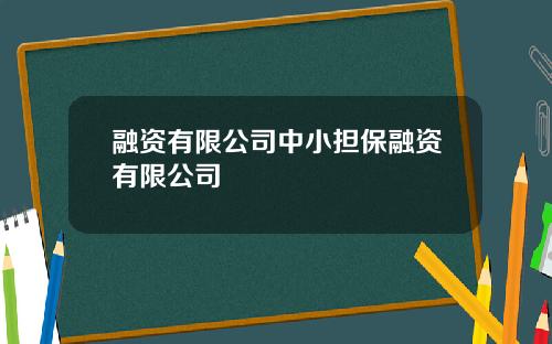 融资有限公司中小担保融资有限公司