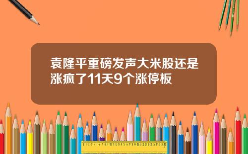 袁隆平重磅发声大米股还是涨疯了11天9个涨停板