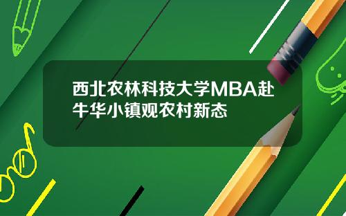 西北农林科技大学MBA赴牛华小镇观农村新态