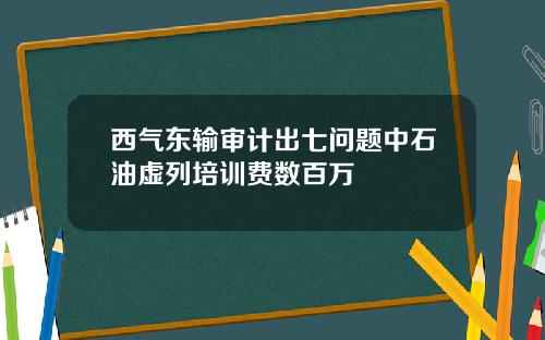 西气东输审计出七问题中石油虚列培训费数百万