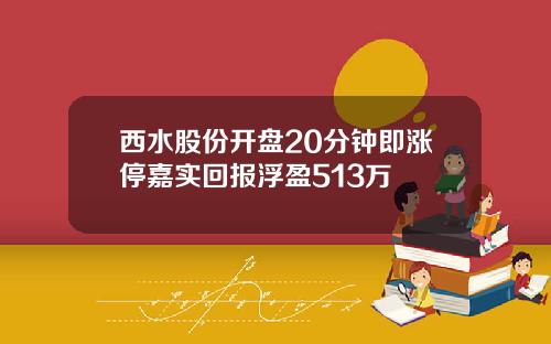 西水股份开盘20分钟即涨停嘉实回报浮盈513万