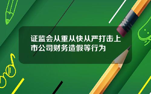 证监会从重从快从严打击上市公司财务造假等行为