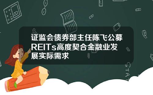 证监会债券部主任陈飞公募REITs高度契合金融业发展实际需求