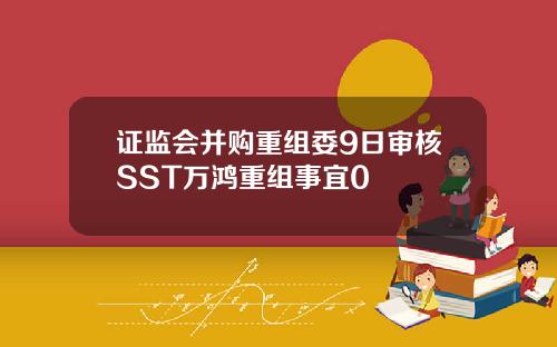 证监会并购重组委9日审核SST万鸿重组事宜0