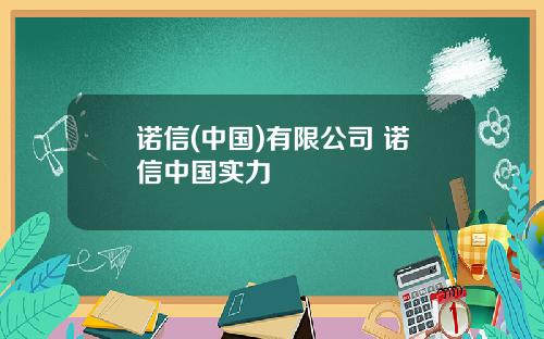 诺信(中国)有限公司 诺信中国实力