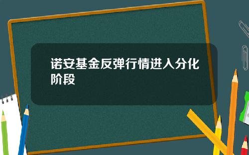诺安基金反弹行情进入分化阶段
