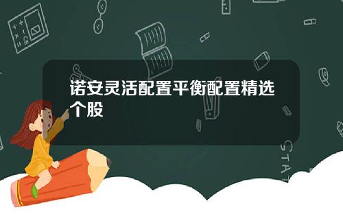 诺安灵活配置平衡配置精选个股