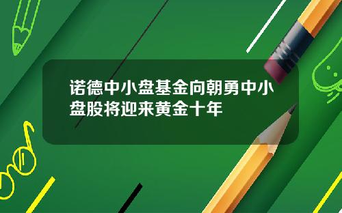 诺德中小盘基金向朝勇中小盘股将迎来黄金十年