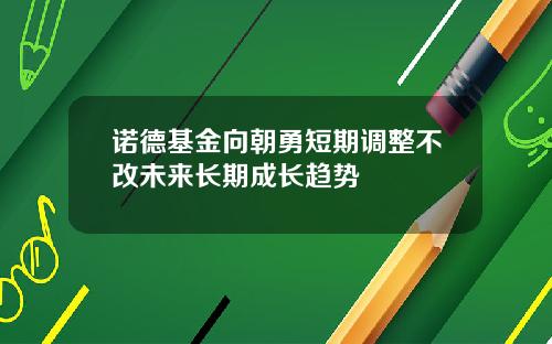 诺德基金向朝勇短期调整不改未来长期成长趋势