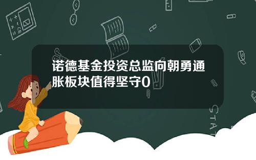 诺德基金投资总监向朝勇通胀板块值得坚守0