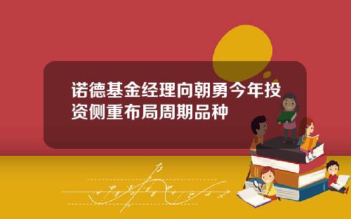 诺德基金经理向朝勇今年投资侧重布局周期品种