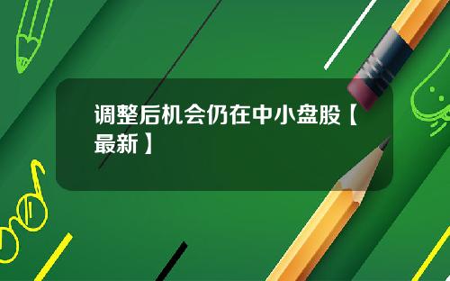 调整后机会仍在中小盘股【最新】