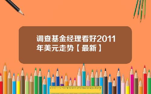调查基金经理看好2011年美元走势【最新】