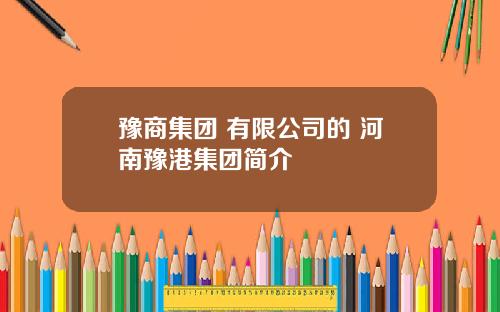 豫商集团 有限公司的 河南豫港集团简介