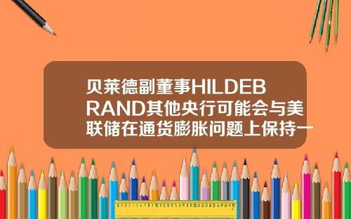 贝莱德副董事HILDEBRAND其他央行可能会与美联储在通货膨胀问题上保持一致【最新】