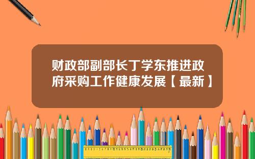 财政部副部长丁学东推进政府采购工作健康发展【最新】