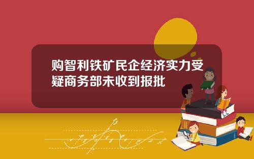 购智利铁矿民企经济实力受疑商务部未收到报批