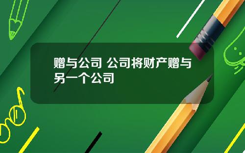 赠与公司 公司将财产赠与另一个公司